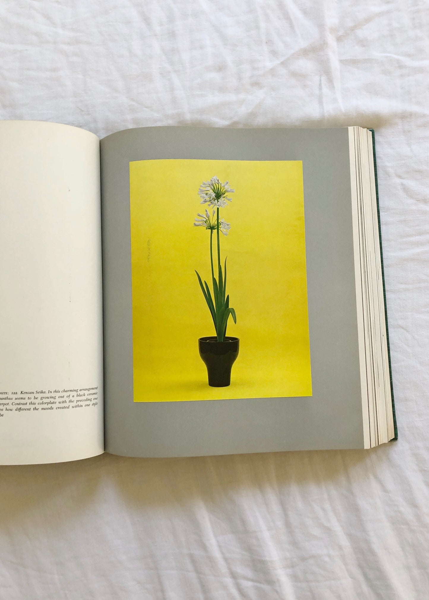 The Art of Arranging Flowers: A Complete Guide to Japanese Ikebana by Shōzō Satō