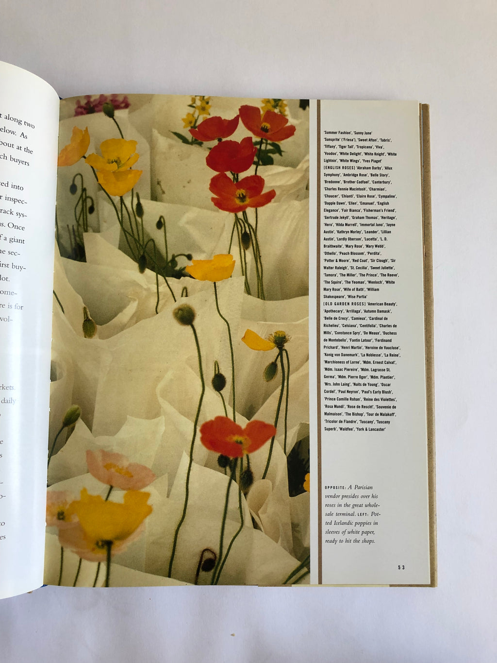 Finding and Arranging Flowers Book