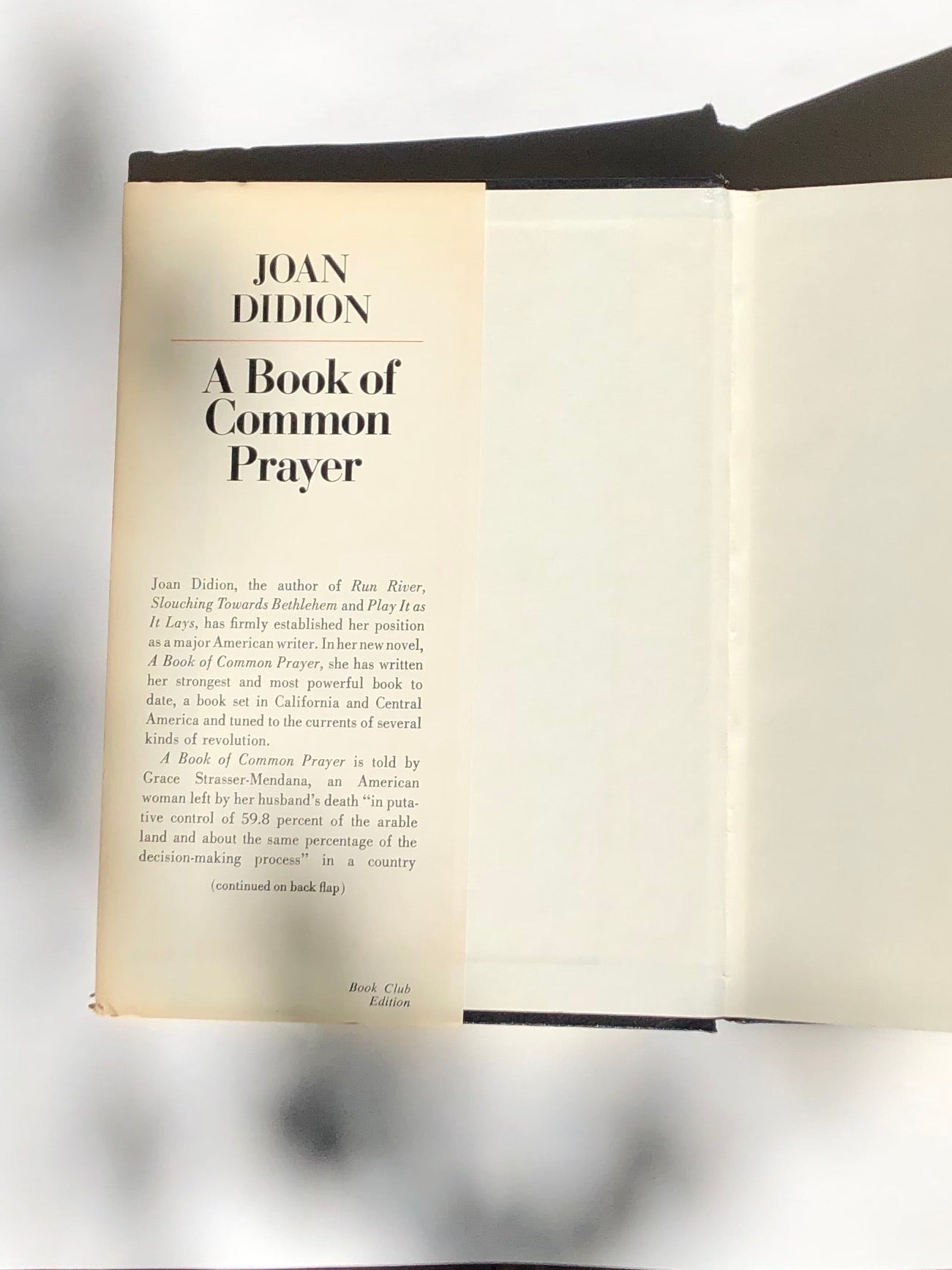 A Book of Common Prayer by Joan Didion