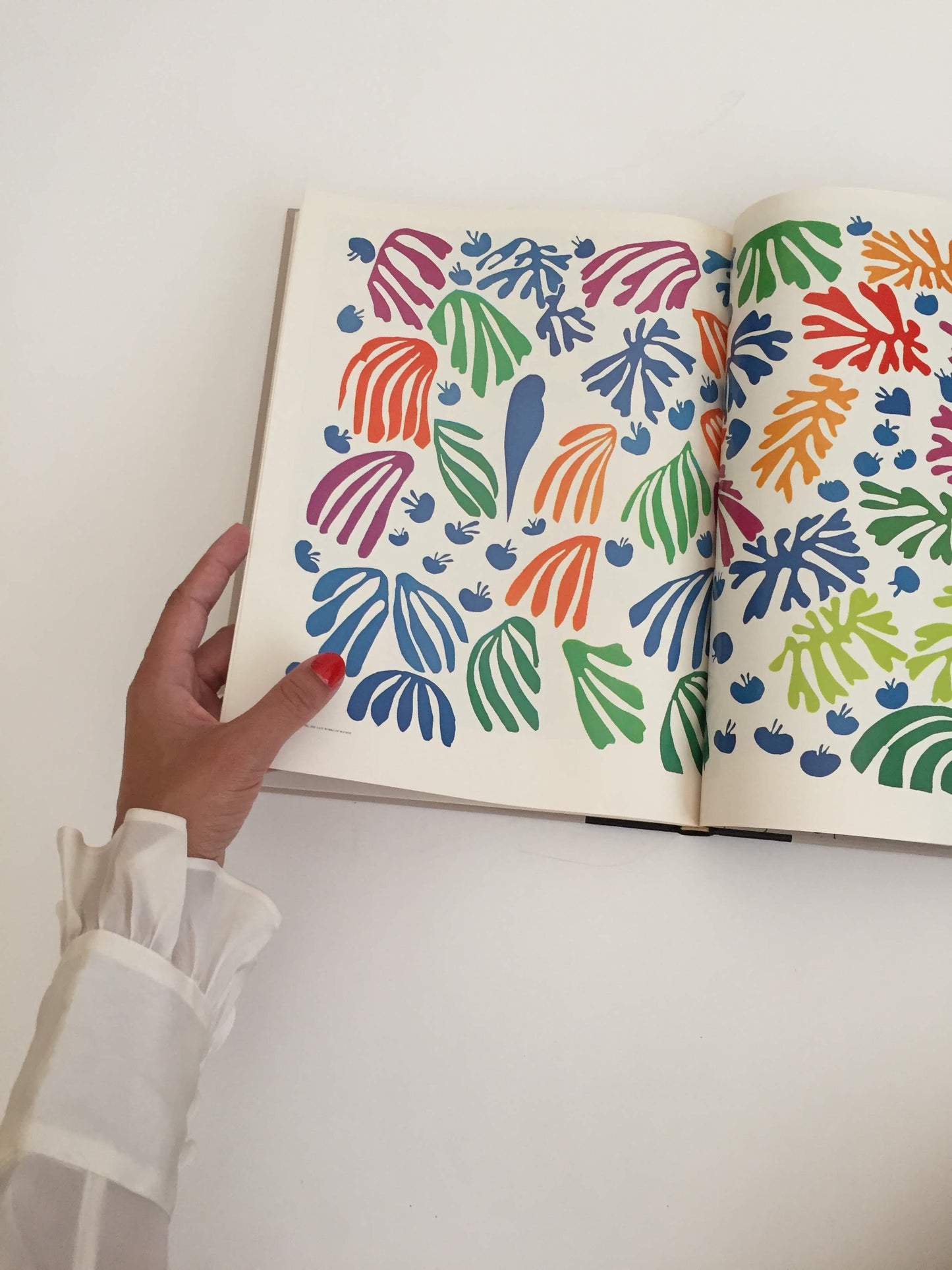 Henri Matisse Book