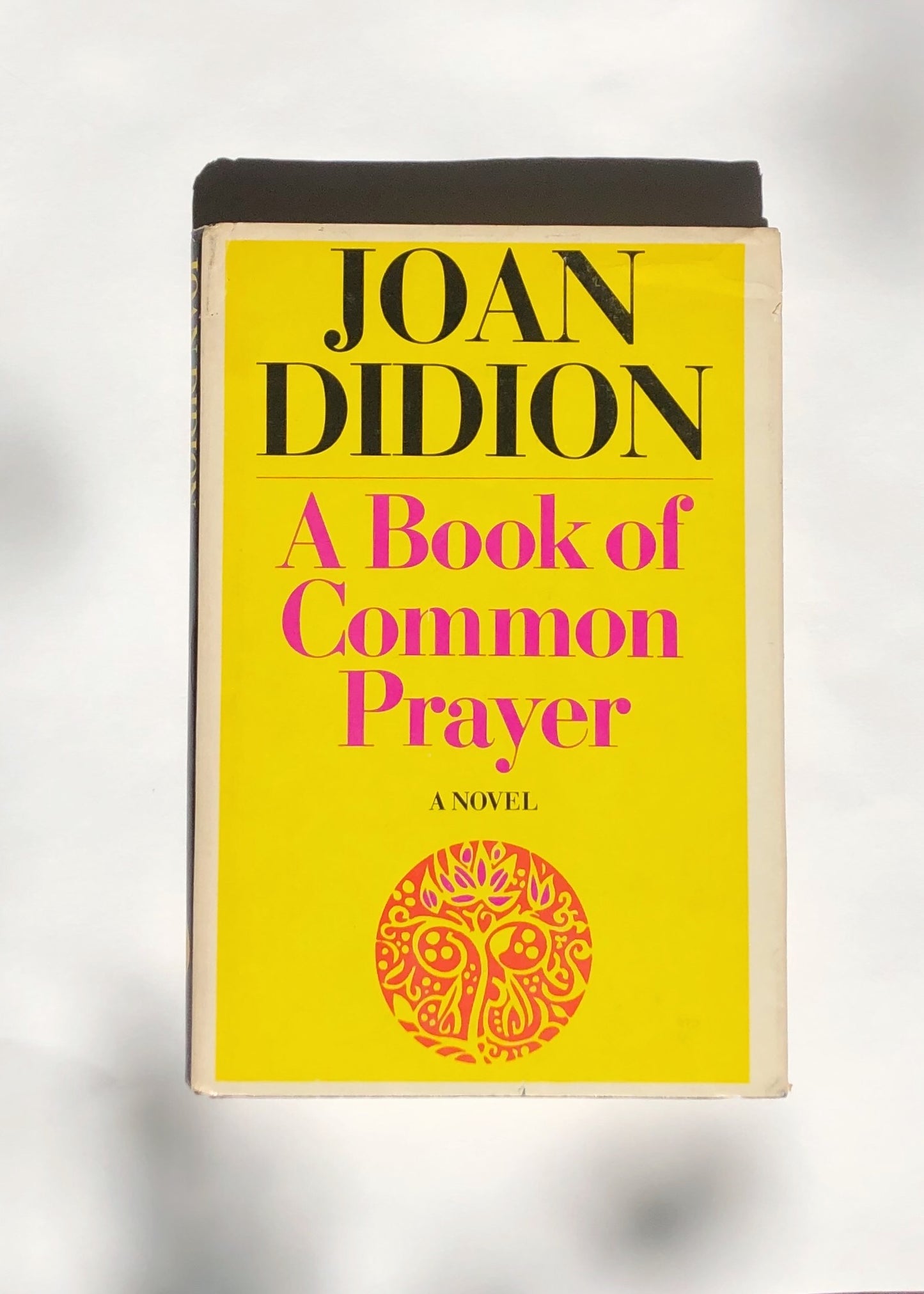 A Book of Common Prayer by Joan Didion