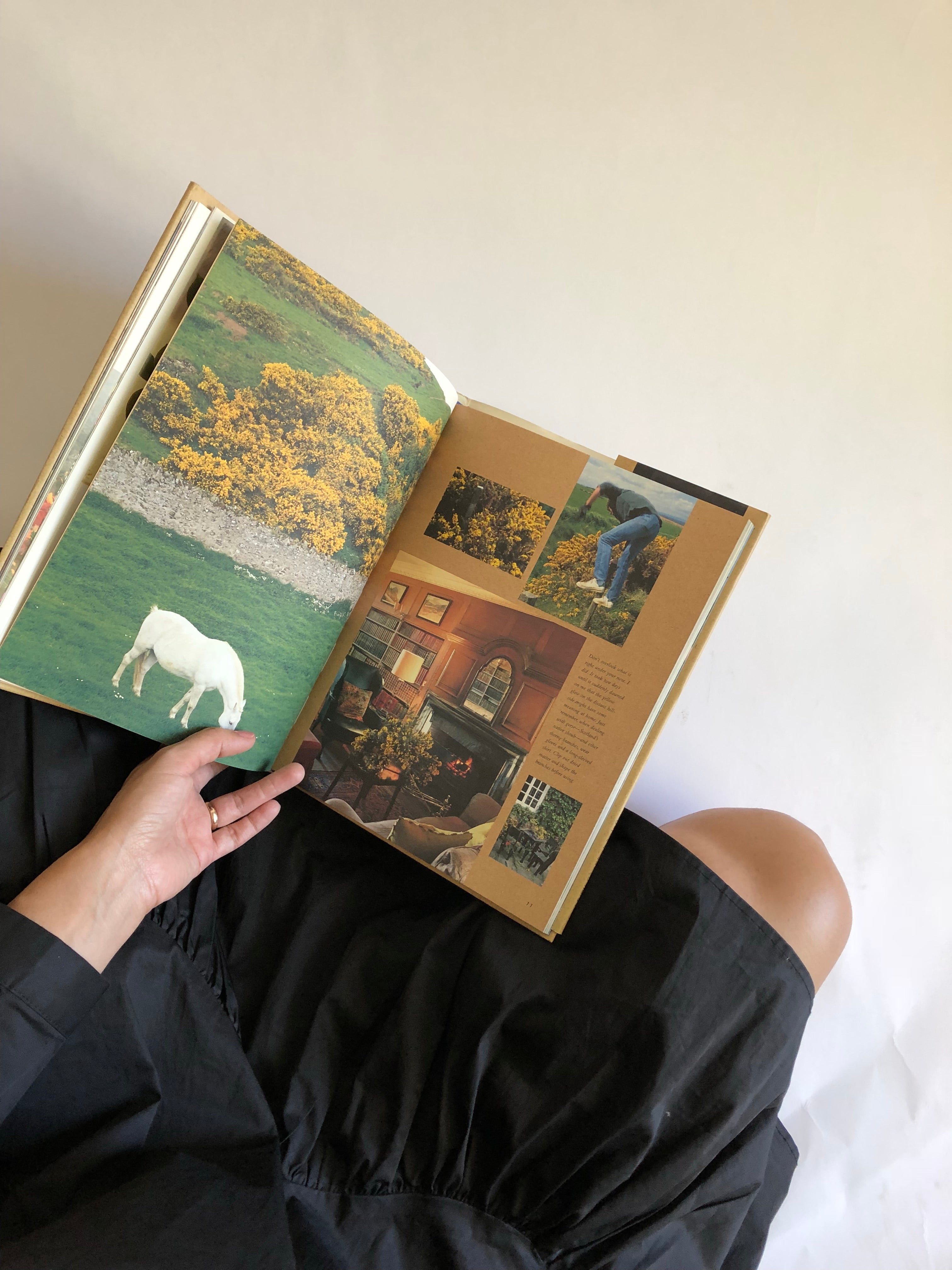 Finding and Arranging Flowers Book