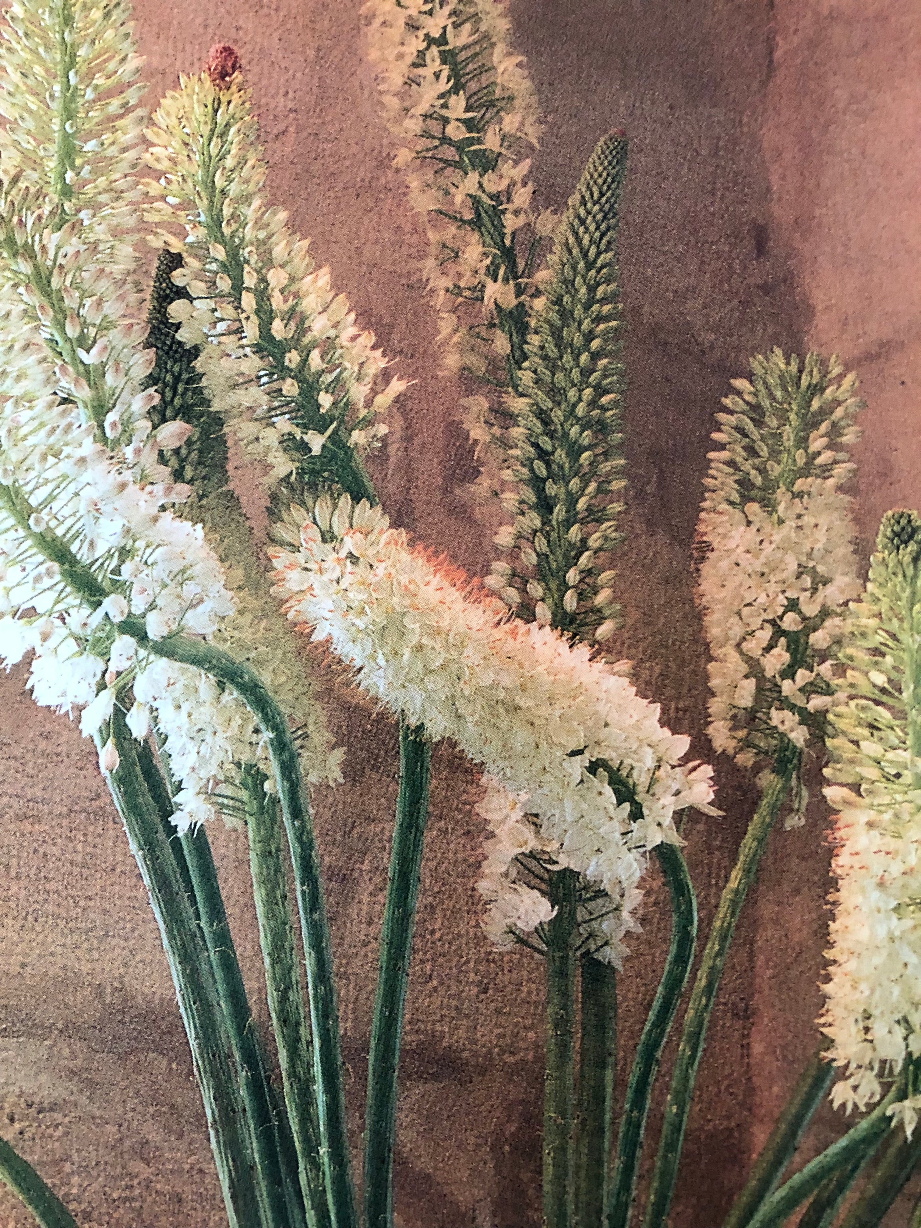 Finding and Arranging Flowers Book