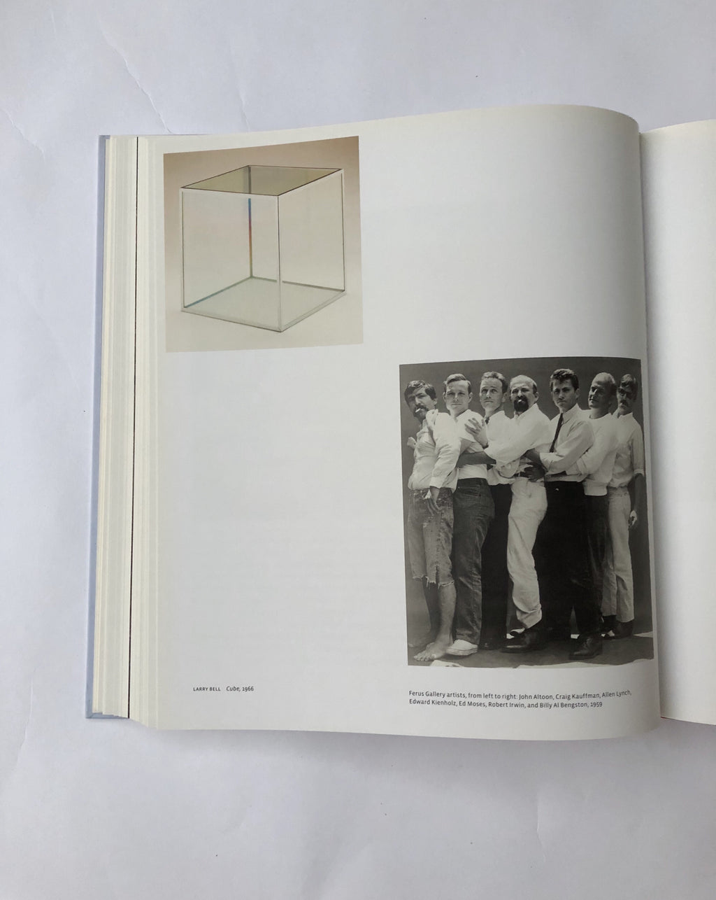 The Broad Contemporary Art Museum at the Los Angeles County Museum of Art 2008