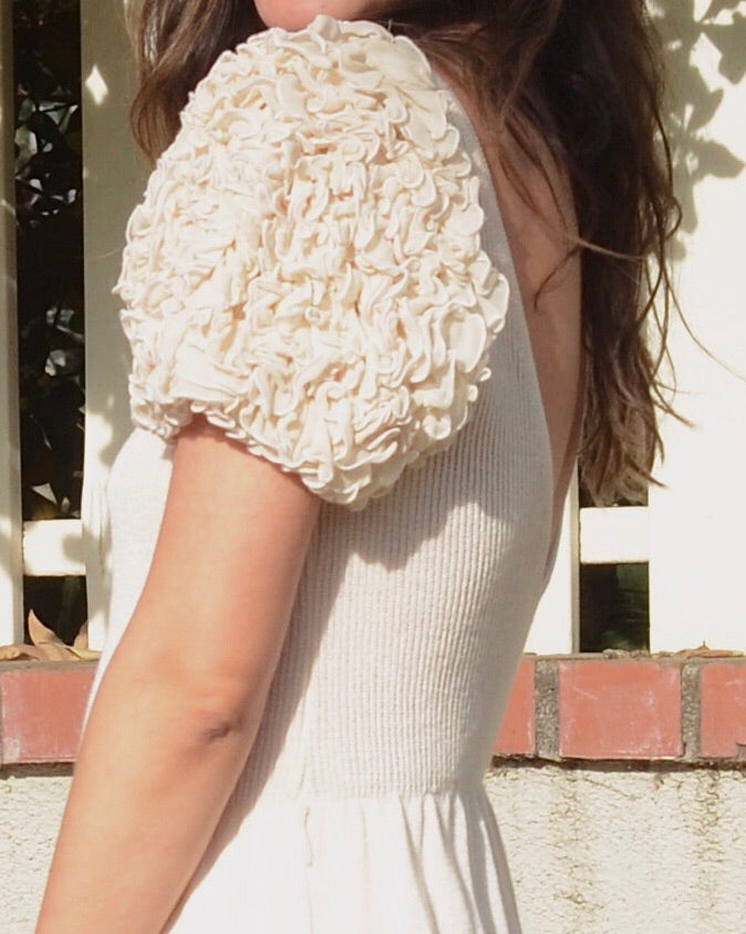 Hydrangea Ruffle Sleeve Knit Dress